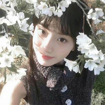 歌王卡罗素